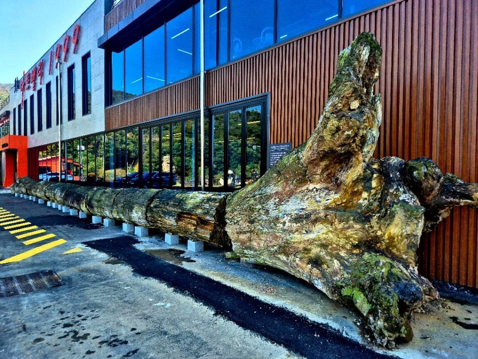 예술정원1999 이미지 2