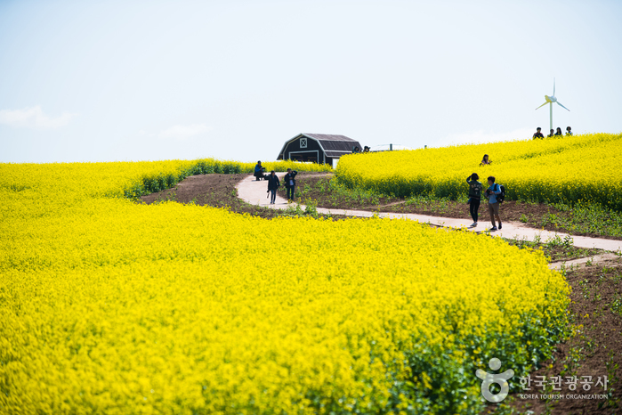 안성팜랜드 이미지 2