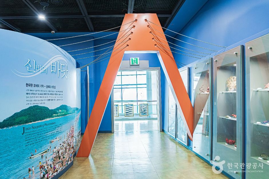 진도 해양생태관 이미지 5