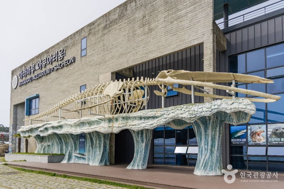 아라마루 아쿠아리움 이미지 2