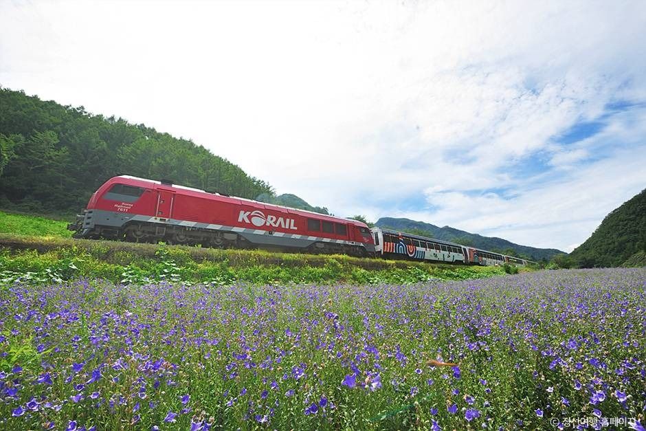 정선아리랑열차(A-train) 이미지 3