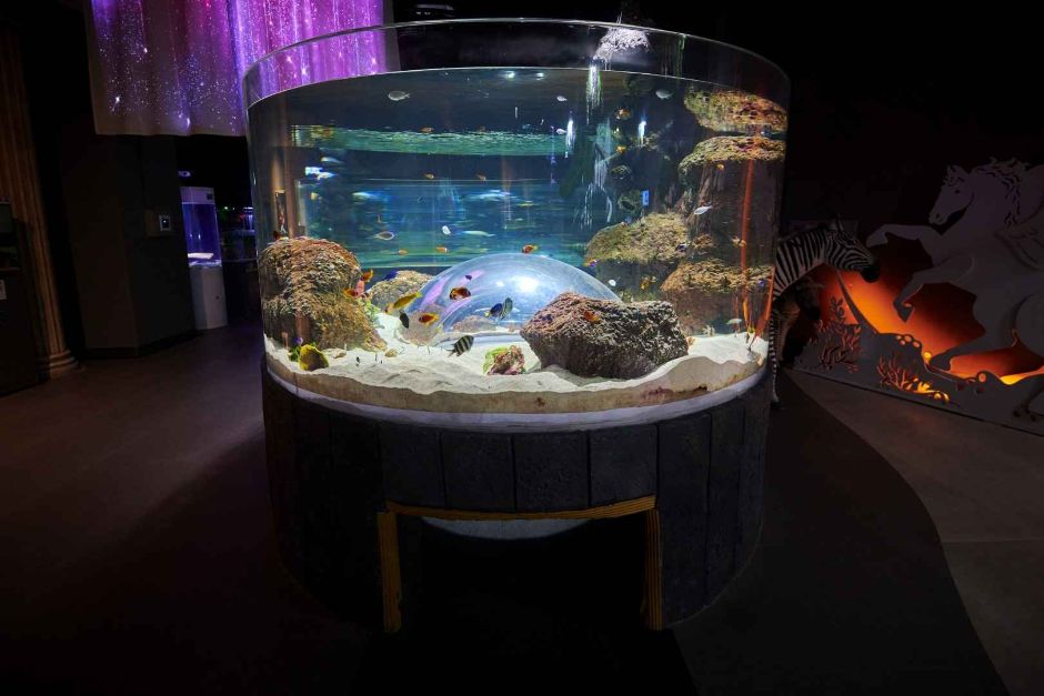 대전 엑스포 아쿠아리움 이미지 3