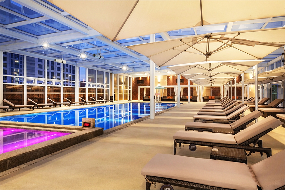 아쿠아필드 고양 이미지 3