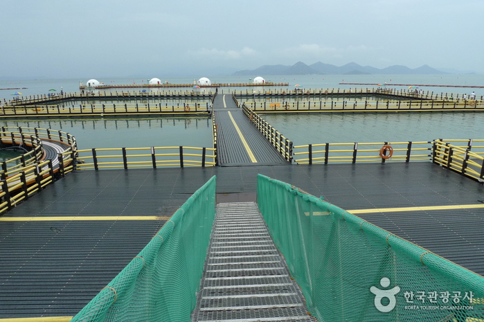 정남진해양낚시공원 이미지 7