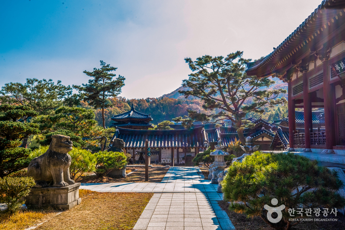 용인 대장금파크 이미지 7