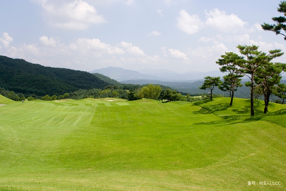 포천아도니스CC 이미지 3