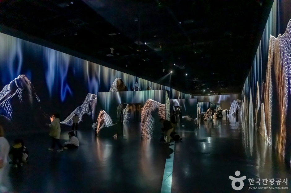 아르떼뮤지엄 강릉 이미지 4