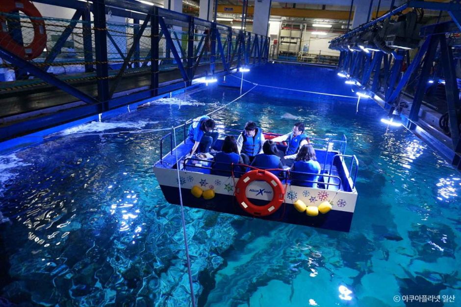 아쿠아플라넷 일산 이미지 5