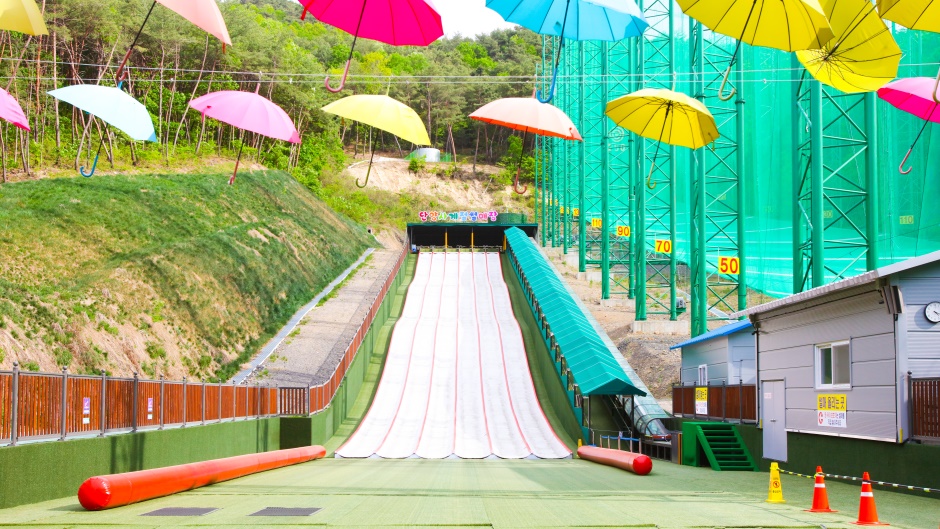 단양 사계절썰매장 이미지 5