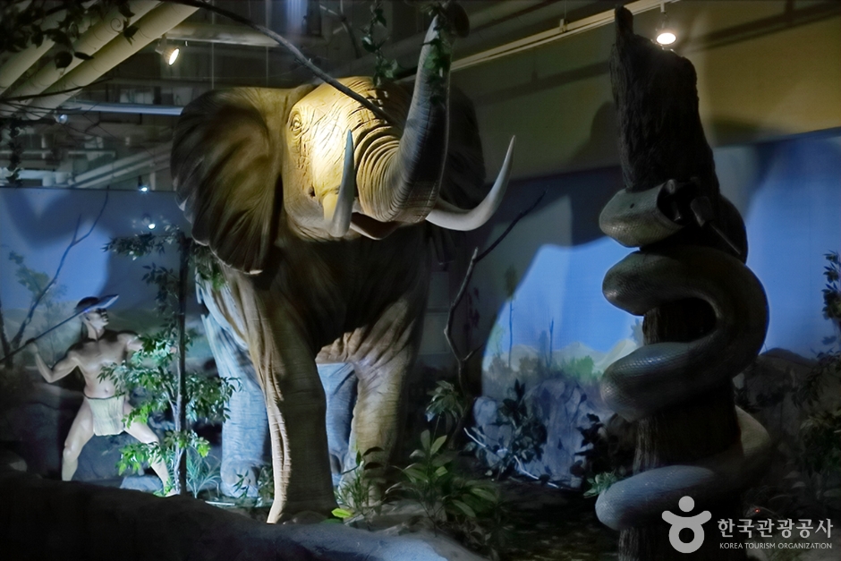 사파리 체험 테마파크 이미지 2