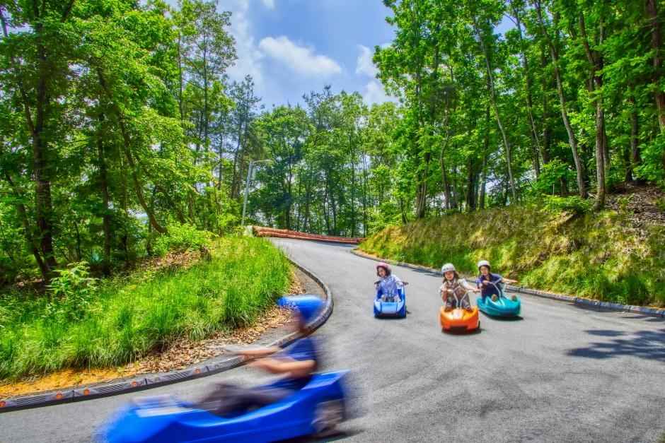 블랙스톤벨포레리조트익스트림루지 이미지 4