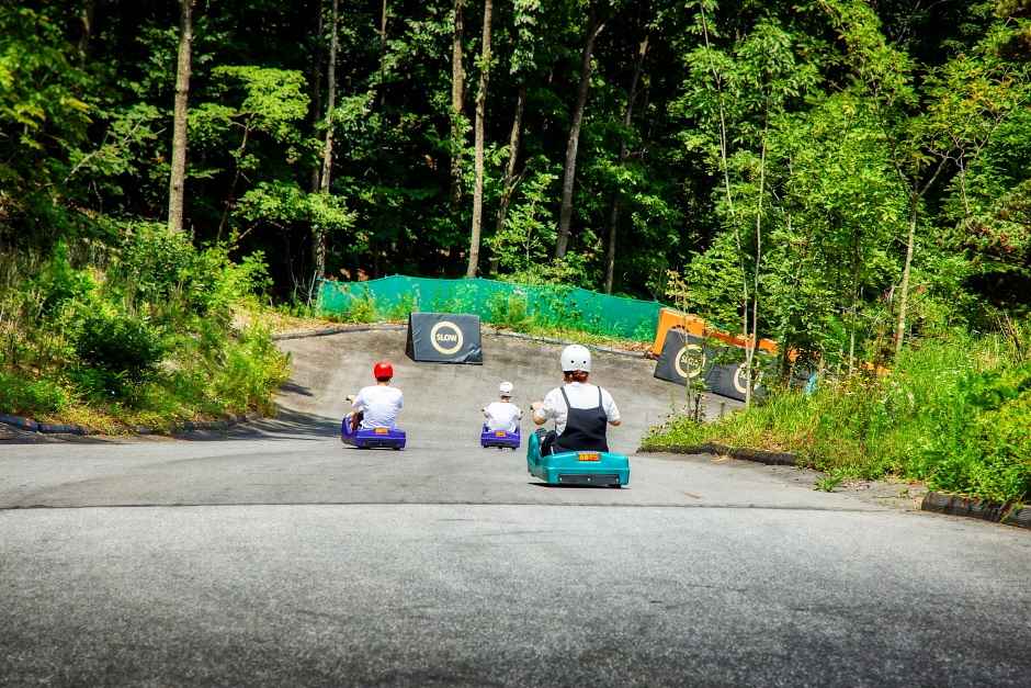 블랙스톤벨포레리조트익스트림루지 이미지 7