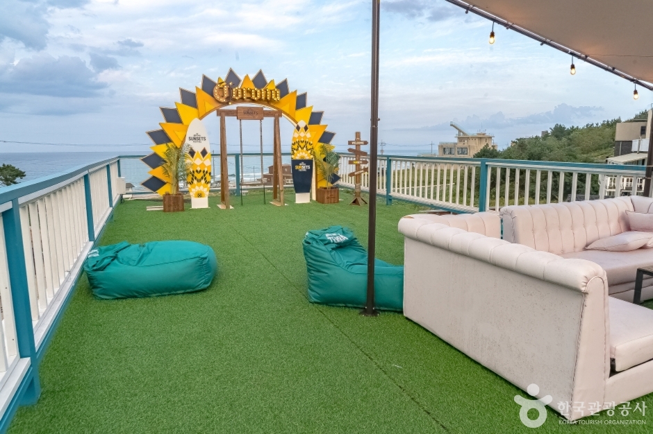 하파서프 이미지 5