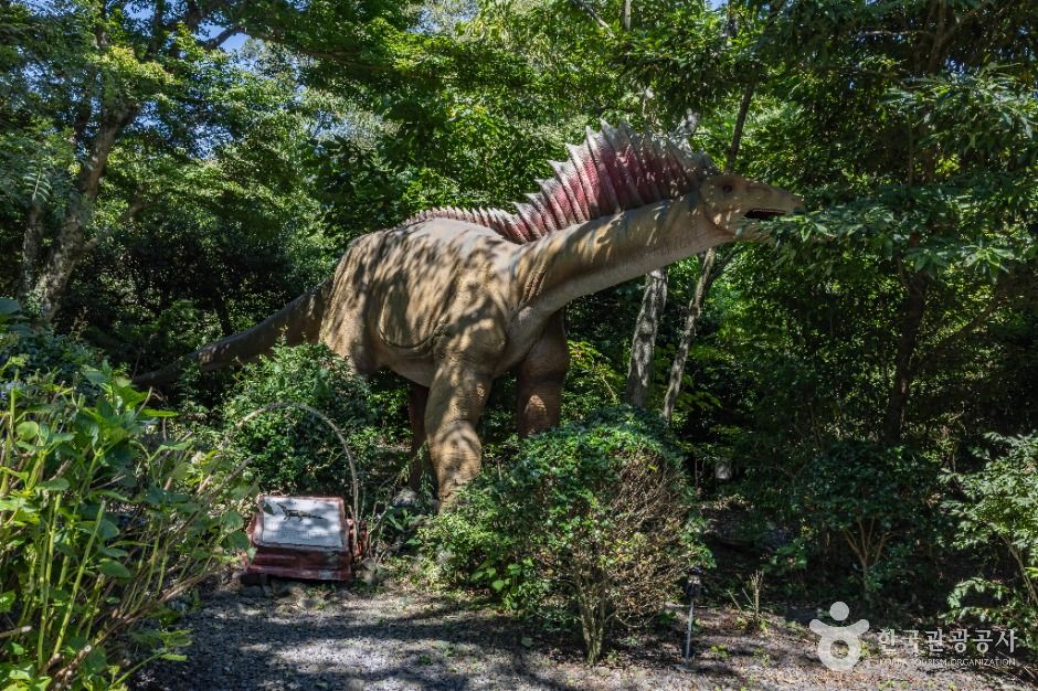 포레스트 공룡사파리 이미지 6