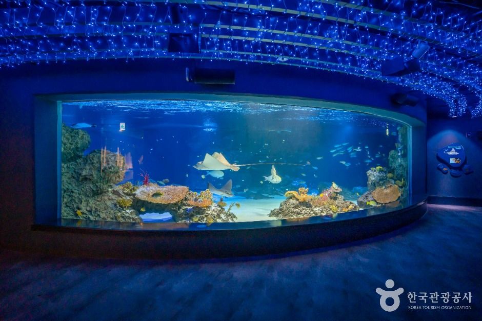 아쿠아플라넷 광교 이미지 2