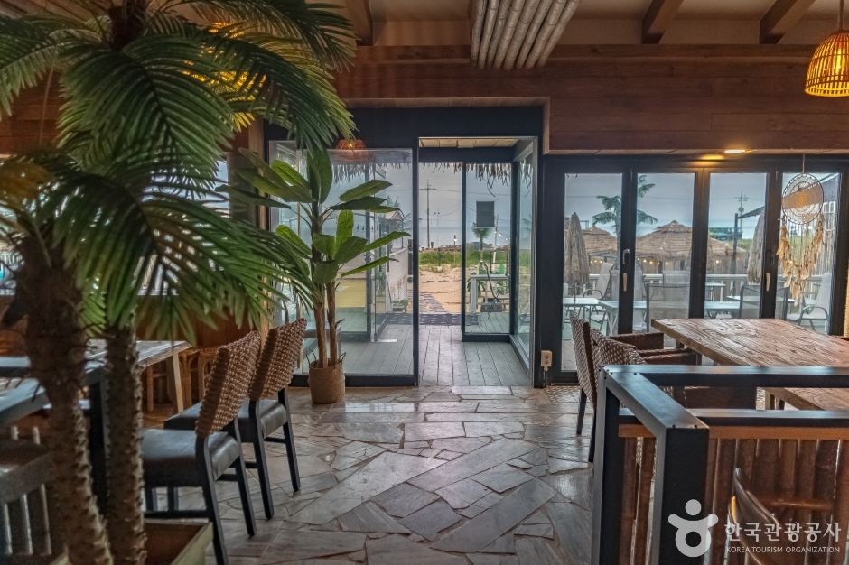 하파서프 이미지 8