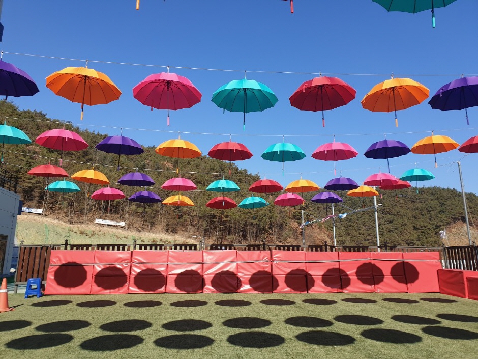 단양 사계절썰매장 이미지 4