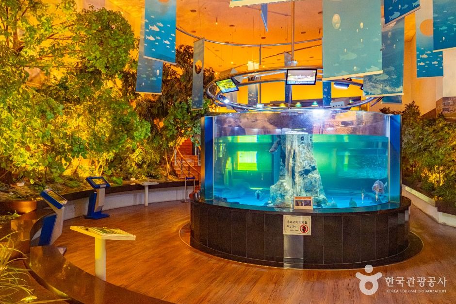 섬진강어류생태관 이미지 7