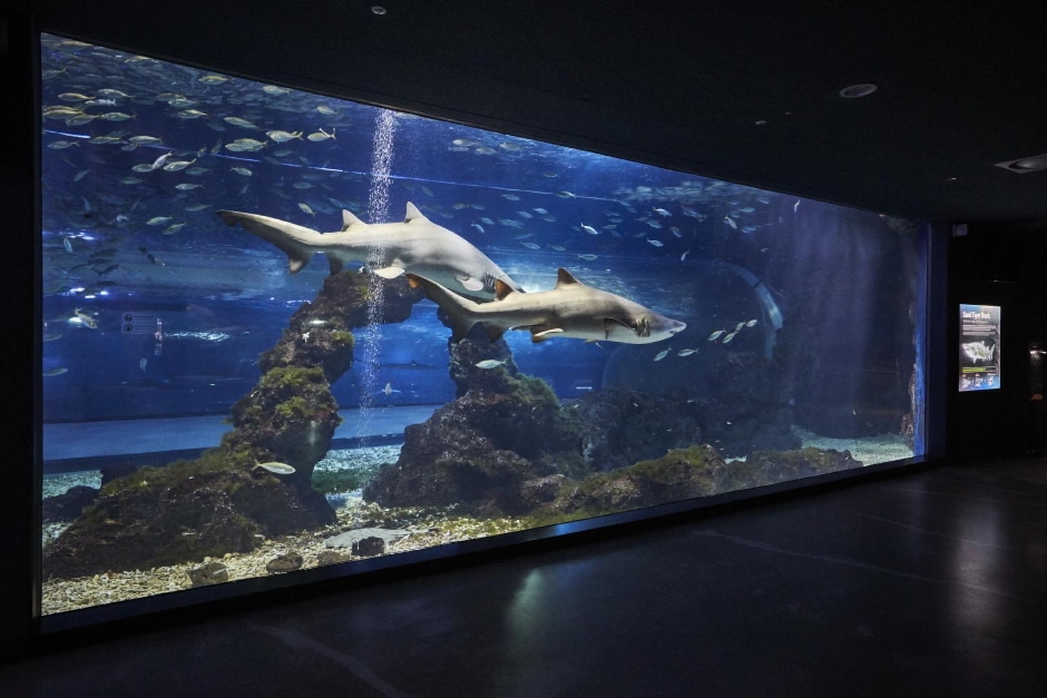 아쿠아플라넷 제주 이미지 6