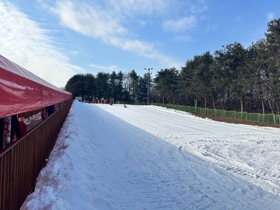 한국민속촌 눈썰매장 이미지 3