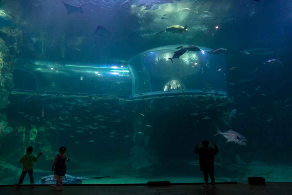 아쿠아플라넷 여수 이미지 2