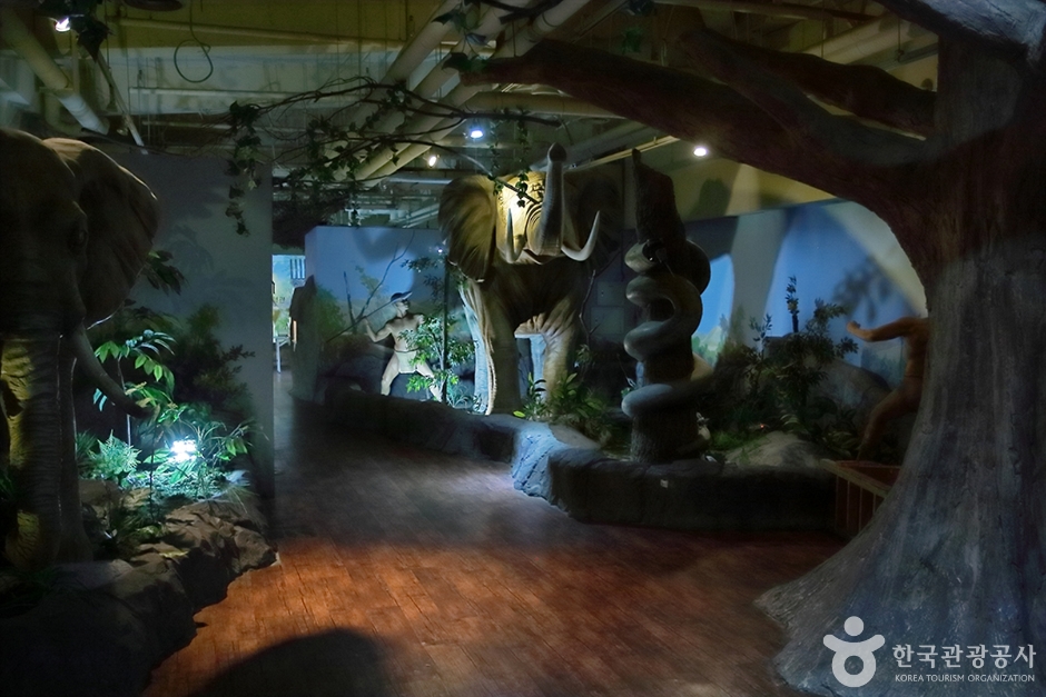 사파리 체험 테마파크 이미지 4