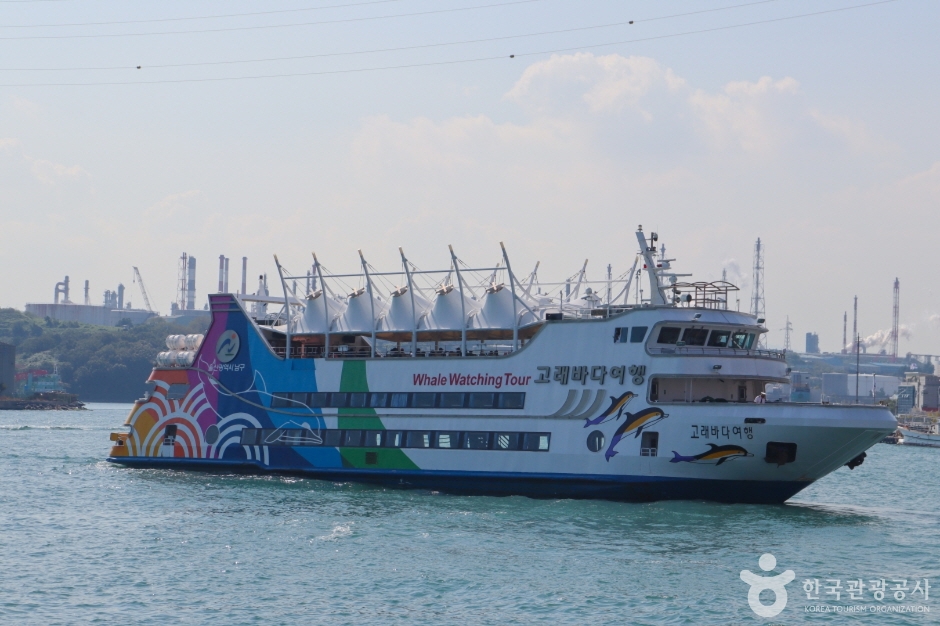 장생포 고래바다여행선 이미지 5