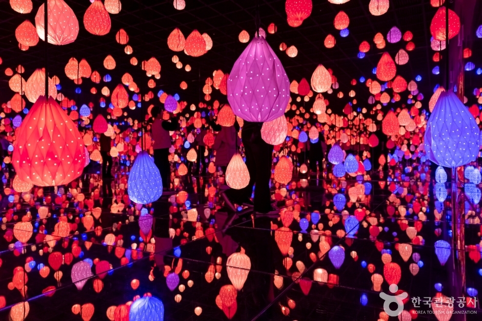 아르떼뮤지엄 강릉 이미지 2