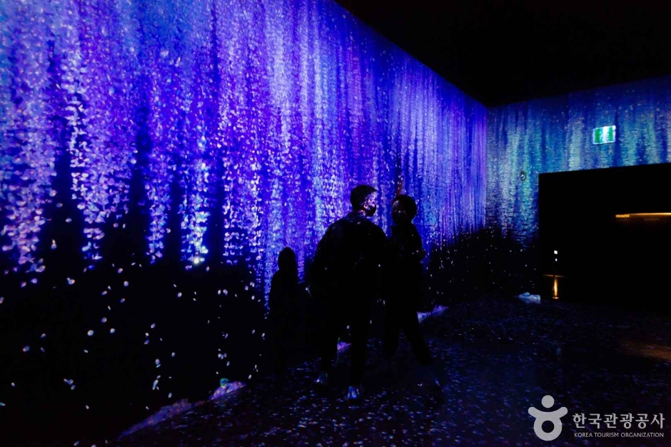 아르떼뮤지엄 여수 이미지 4