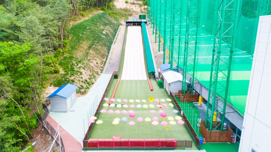 단양 사계절썰매장 이미지 2