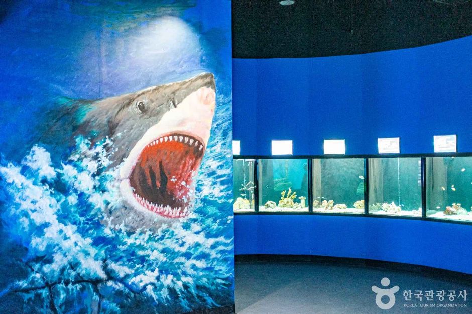 울진아쿠아리움 이미지 7