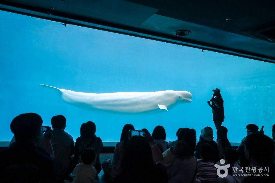 거제씨월드 이미지 7