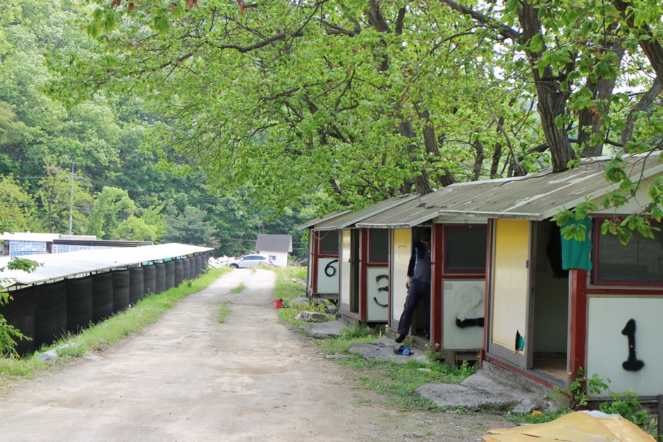 감악산낚시터레저타운 이미지 3
