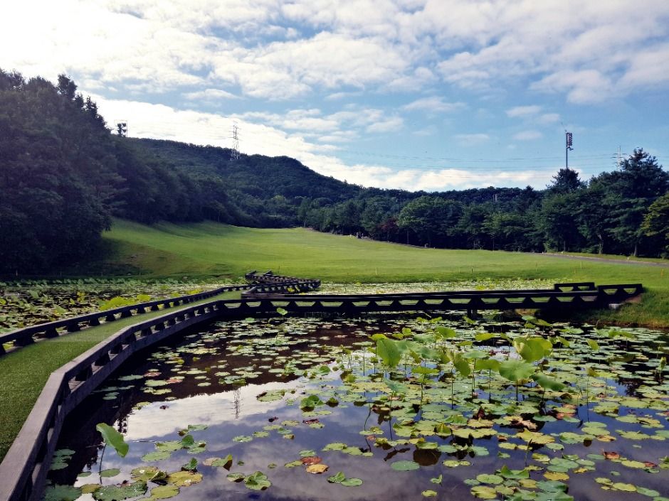 서서울컨트리클럽 이미지 3