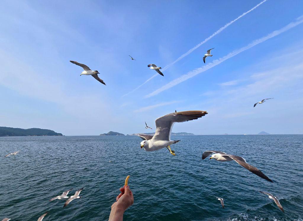 군산선유도유람선 이미지 5