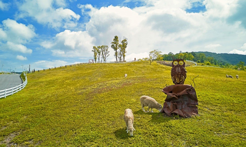 벨포레리조트 이미지 4