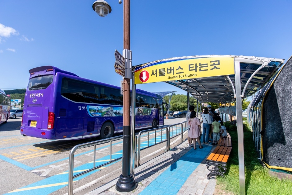 삼척 해양레일바이크 이미지 5