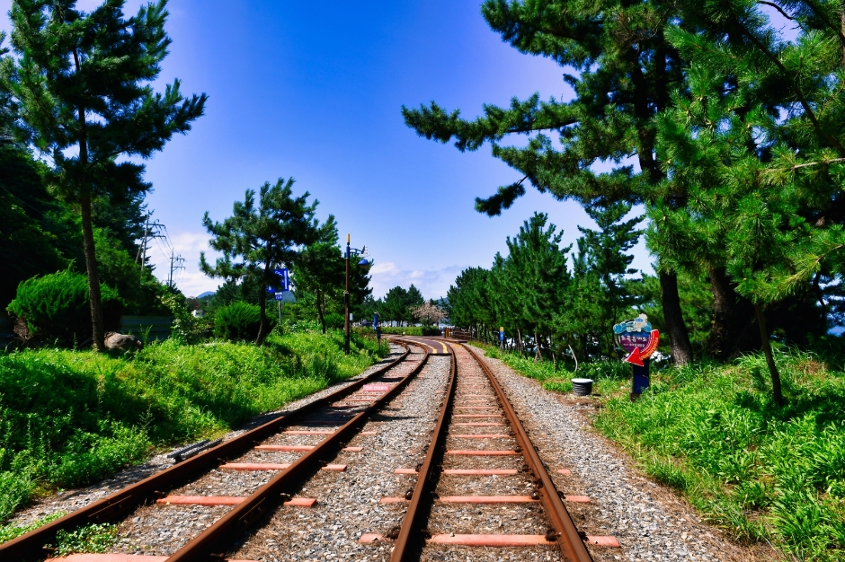 삼척 해양레일바이크 이미지 2