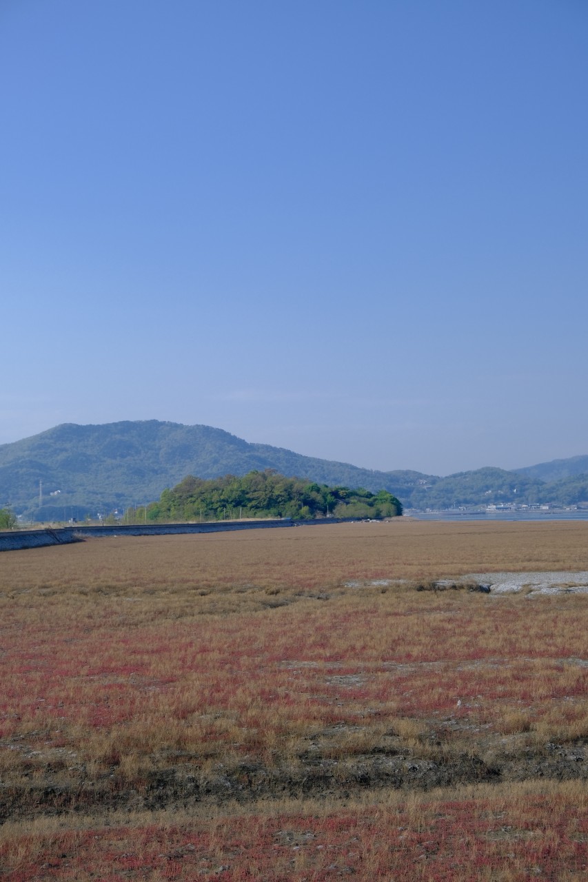 강화석모도미네랄스파 이미지 7