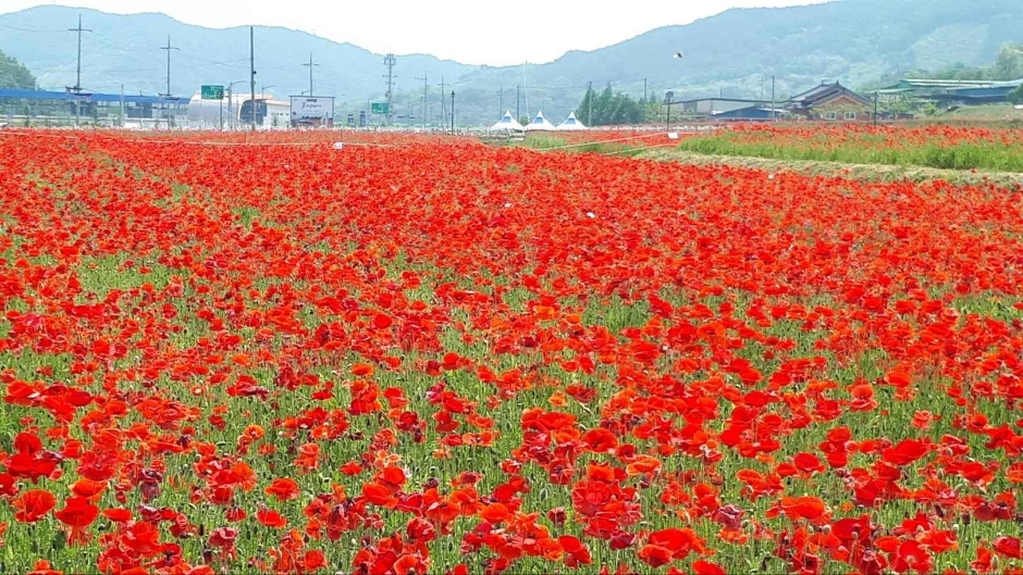 하동 레일파크 이미지 4