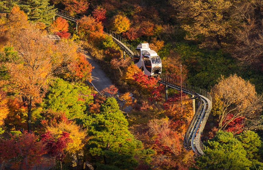 화담숲 모노레일 이미지 9