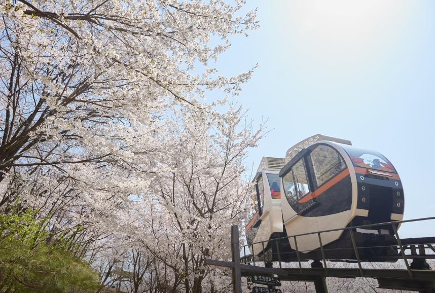 화담숲 모노레일 이미지 2