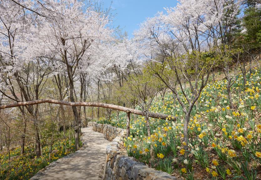 화담숲 모노레일 이미지 6