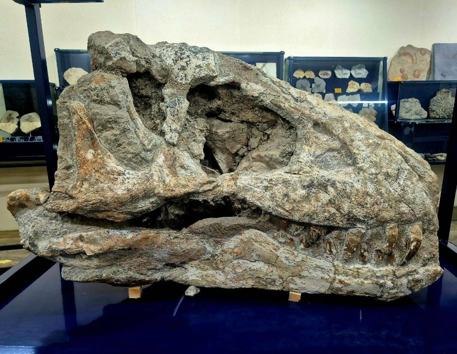 포천 아트밸리1999 이미지 6