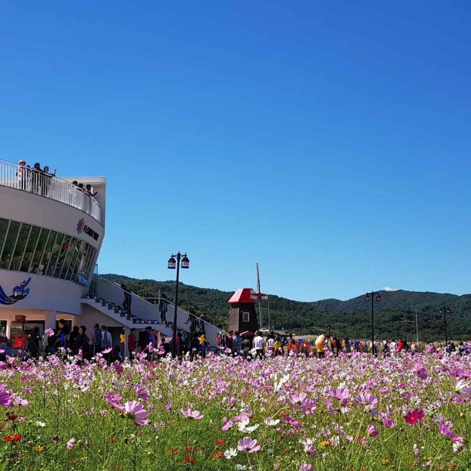 하동 레일파크 이미지 7