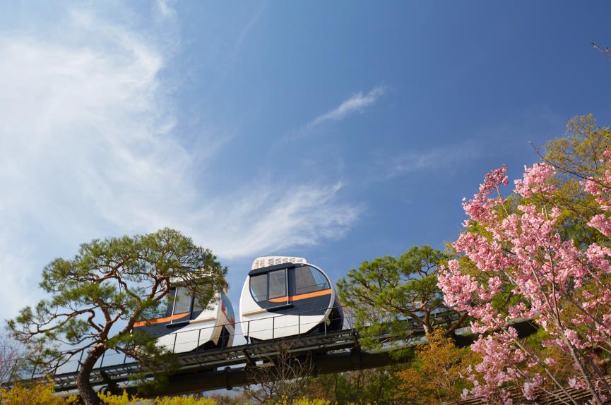 화담숲 모노레일 이미지 4