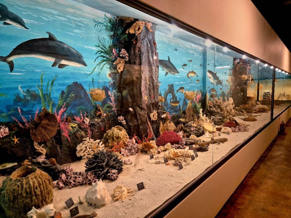 포천 아트밸리1999 이미지 9