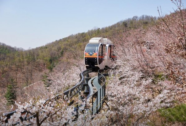 화담숲 모노레일 썸네일