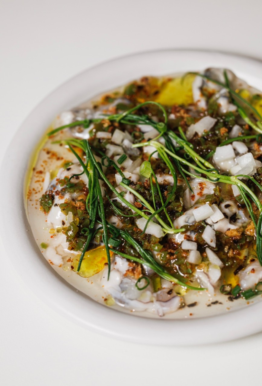 아웃트로바이비토 이미지 2