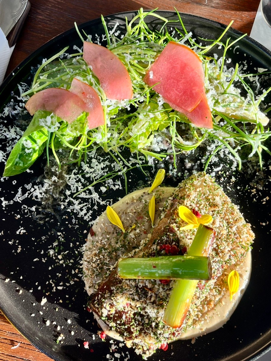 페를로 이미지 1